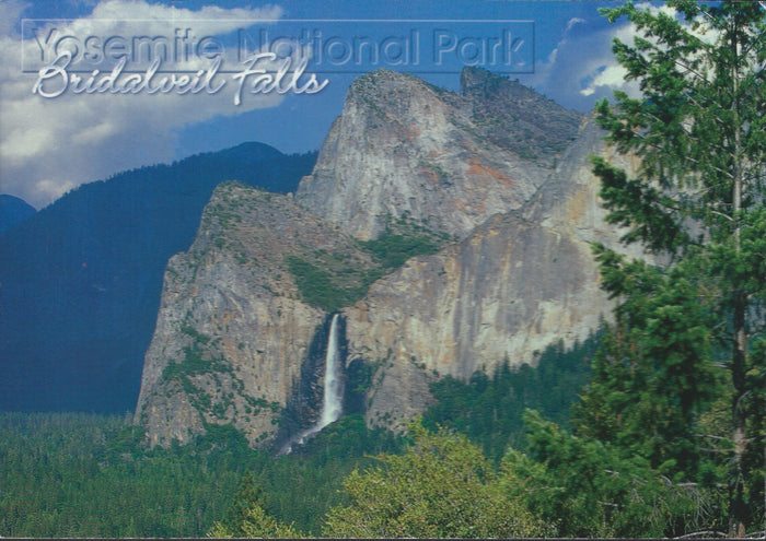Bridalveil Falls Wide Shot Postcard-QTY=50