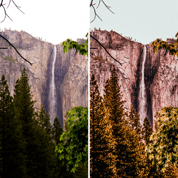 Fall Presets Mobile Lightroom Preset Warm Pumpkin Autumn Presets - 4 Presets