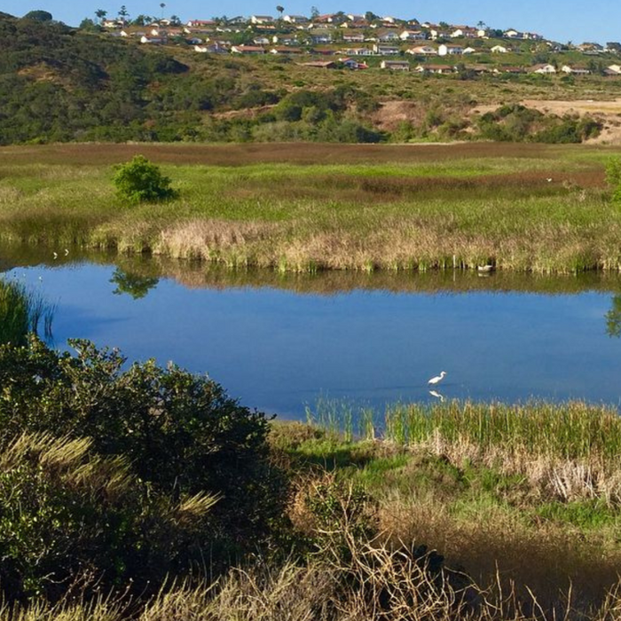 Redeem for Charity Impact: Restore 1 foot of Coastal Watershed