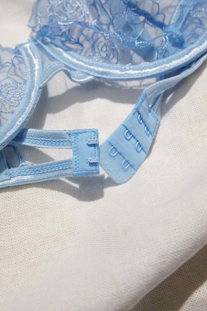 Sheer Lingerie in Blue