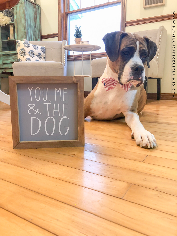 YOU ME & THE DOG