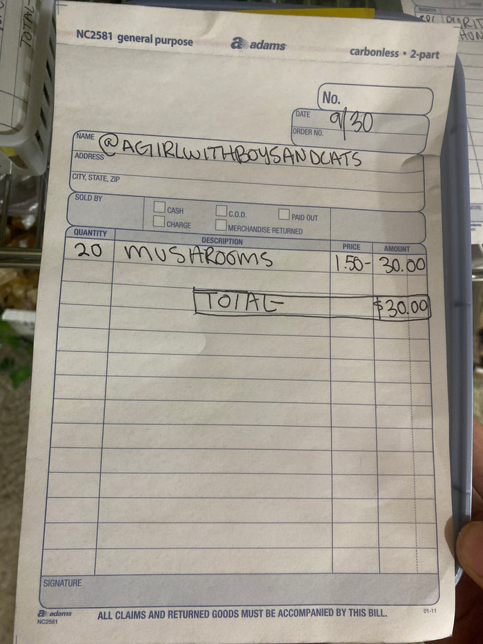 @agirlwithboysandcats clear out the backstock live sale invoice