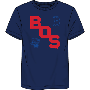 Boston Red Sox Fundamentals Record Shattered T-Shirt - Navy