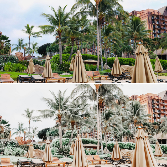 Champagne Luxe Lightroom Presets Pack - 5 Presets