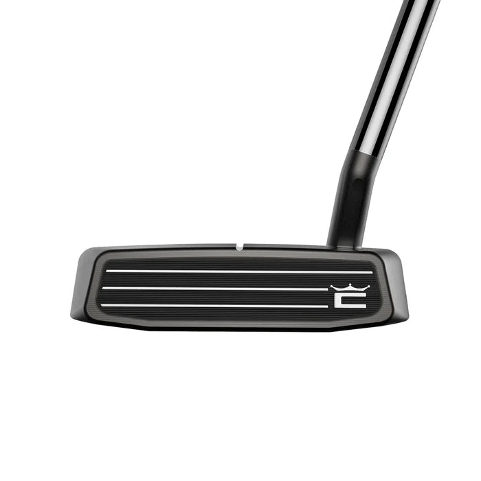 Cobra Golf Stingray-30 Vintage Putter gray color