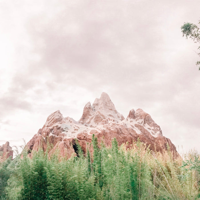 Dreamy Photo Presets Mobile Lightroom Preset