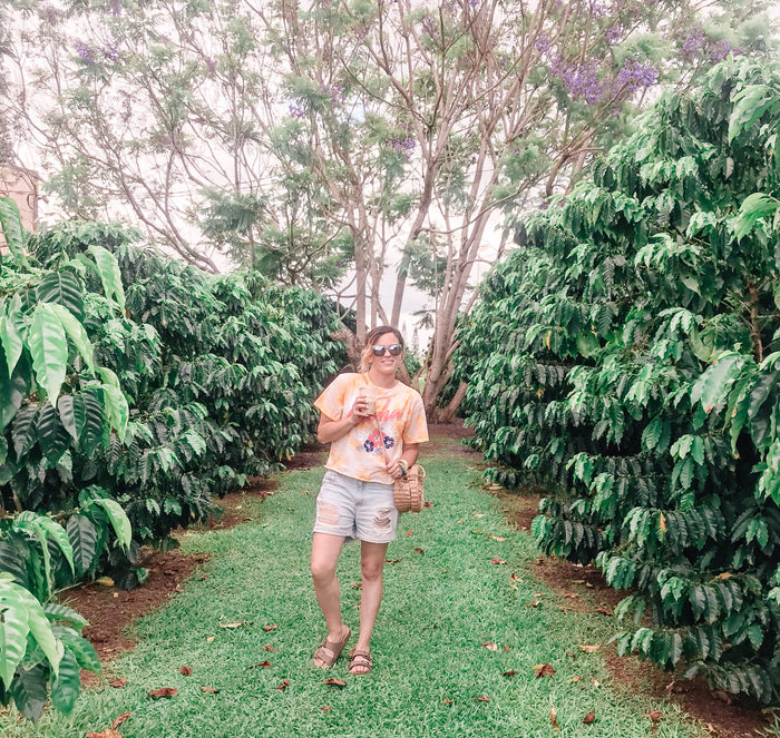 Dreamy Photo Presets Mobile Lightroom Preset