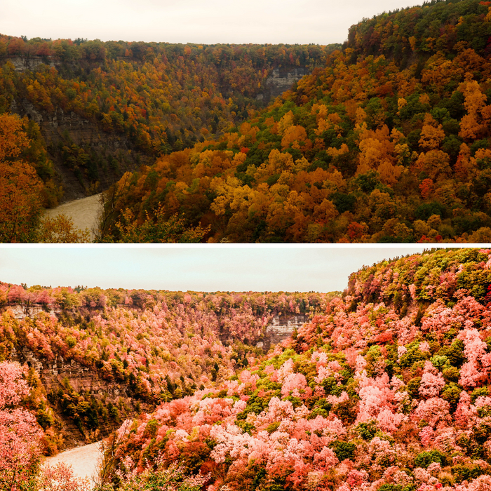 Fall Presets Mobile Lightroom Preset Warm Pumpkin Autumn Presets - 4 Presets