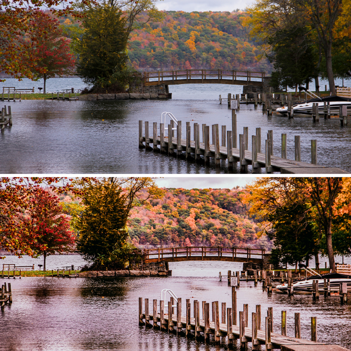 Fall Presets Mobile Lightroom Preset Warm Pumpkin Autumn Presets - 4 Presets