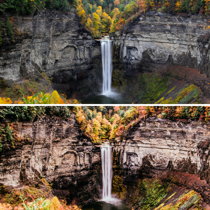 Fall Presets Mobile Lightroom Preset Warm Pumpkin Autumn Presets - 4 Presets