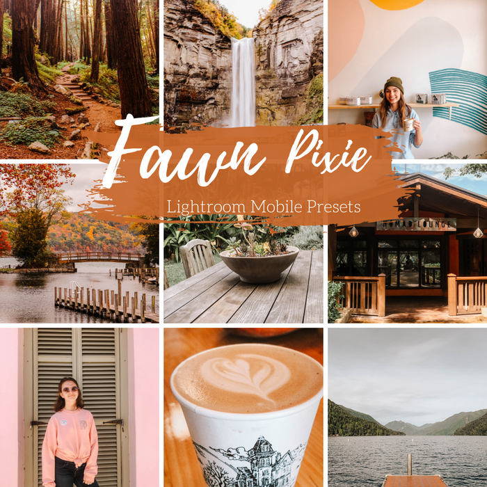 Fawn Autumn Presets Woodsy Fall Mobile Lightroom Preset - 2 Presets