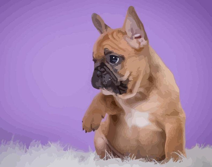 French Bulldog Painting by Numbers