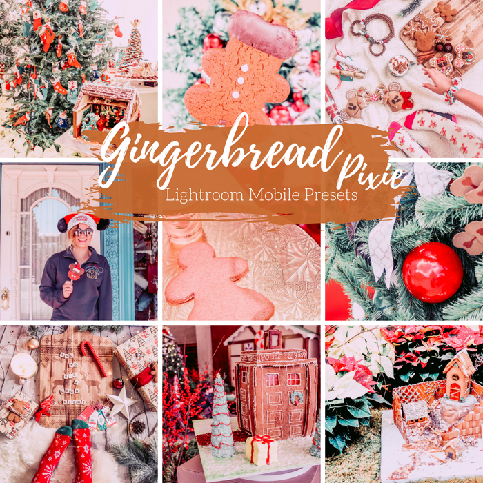 Gingerbread Presets Warm Spicy Mobile Lightroom Presets - 4 Presets