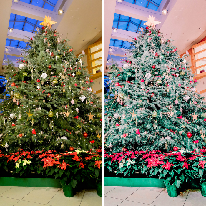 Holiday Presets Christmas and Winter Mobile Lightroom Presets - 4 Presets