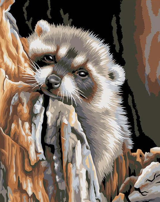 Honey Badger Paint by Numbers