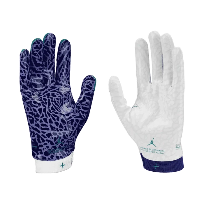 Jordan Men Fly Football Gloves Blue Color.