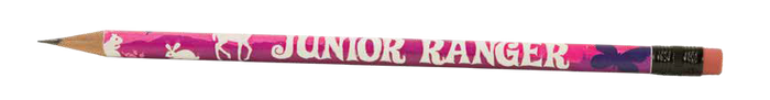 Junior Ranger Pencil pack of 5