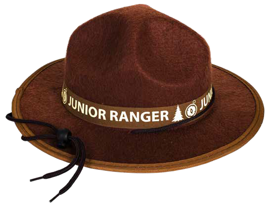 Junior Ranger Ranger Hat