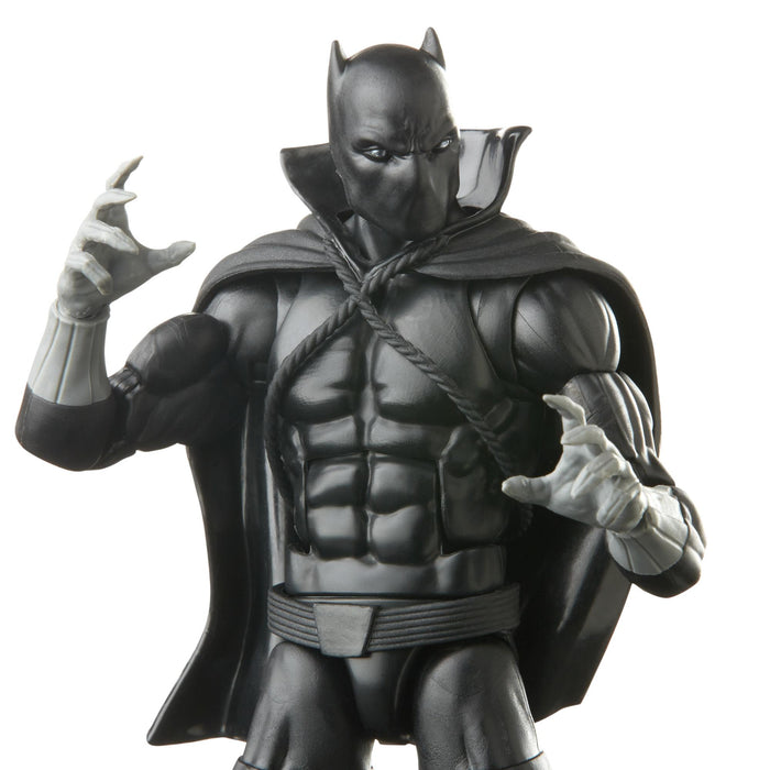 Marvel Legends Black Panther 6-Inch Figures Wave 3 - Black Panther