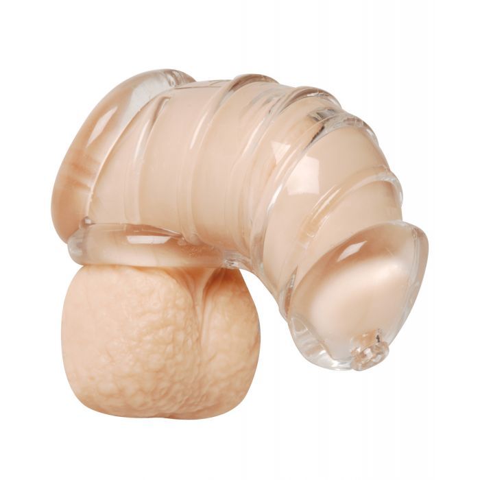 Master Series Detained Chastity Cage