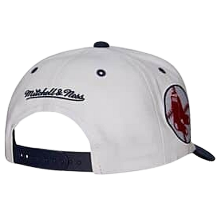 Mitchell & Ness Evergreen Pro Snapback Coop Boston Red Sox