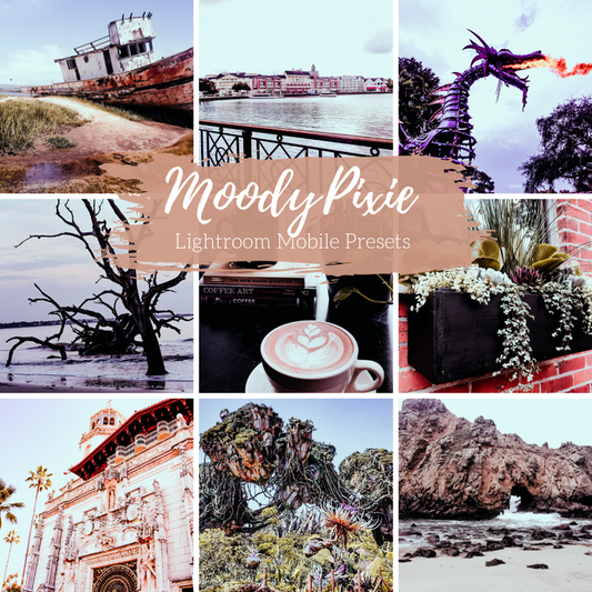 Moody Lightroom Presets Pixie Desaturated Dark annd Moody Mobile Lightroom Preset - 2 Presets