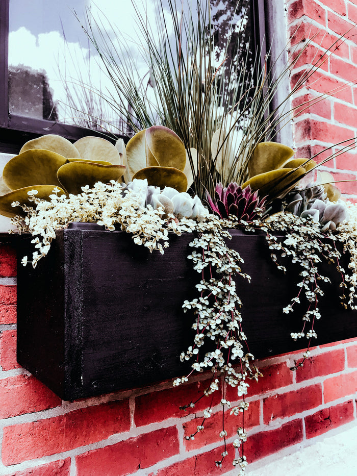 Moody Lightroom Presets Pixie Desaturated Dark annd Moody Mobile Lightroom Preset - 2 Presets