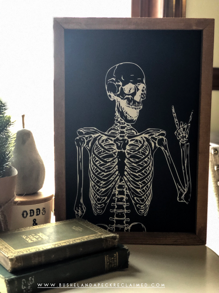 MR. BONES