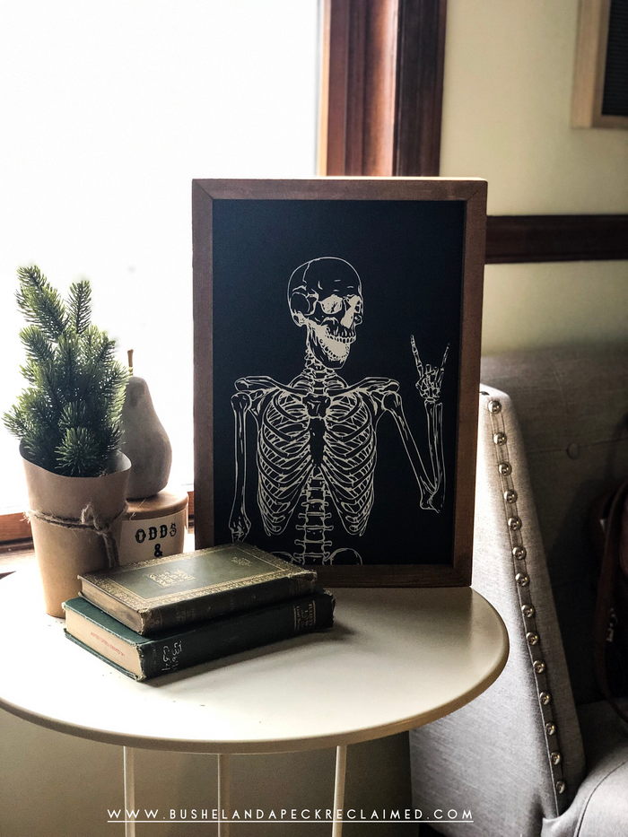 MR. BONES