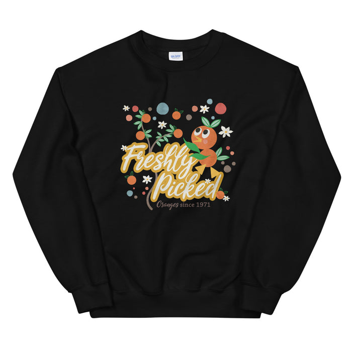 Orange Bird Sweatshirt Freshly Picked Oranges for Flower and Garden