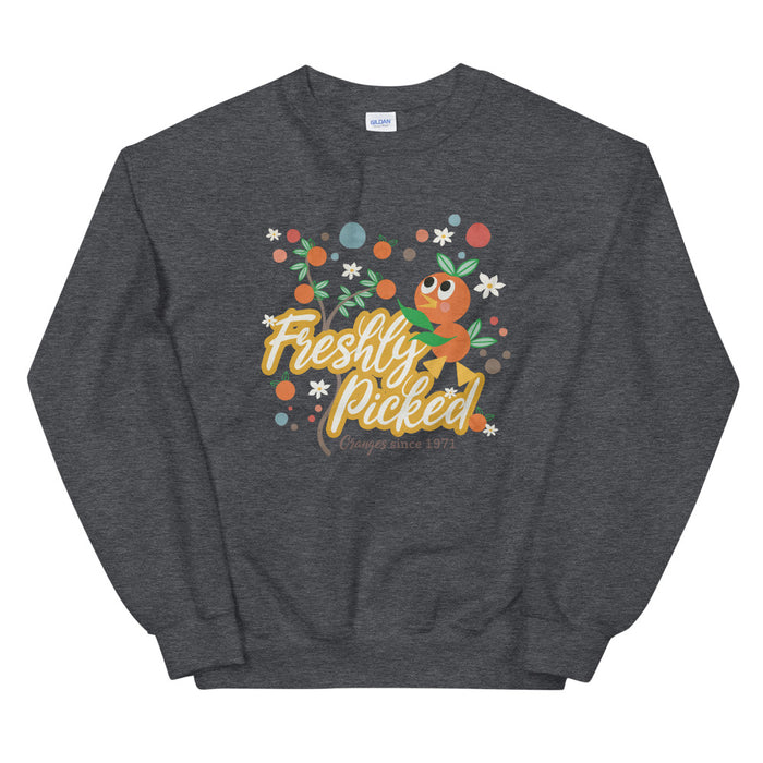 Orange Bird Sweatshirt Freshly Picked Oranges for Flower and Garden