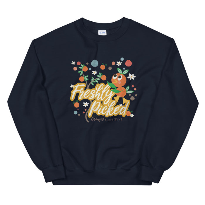 Orange Bird Sweatshirt Freshly Picked Oranges for Flower and Garden