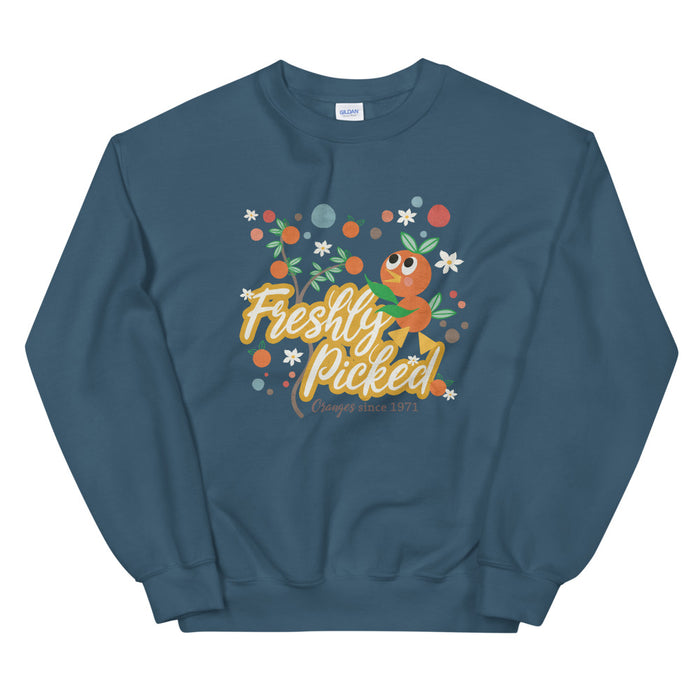 Orange Bird Sweatshirt Freshly Picked Oranges for Flower and Garden