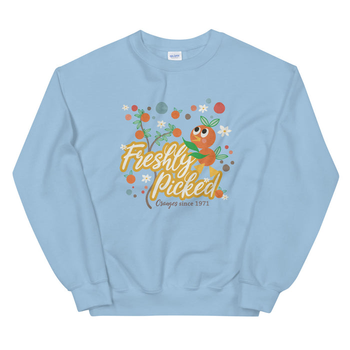 Orange Bird Sweatshirt Freshly Picked Oranges for Flower and Garden