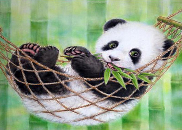 Panda Paint by Numbers Kit