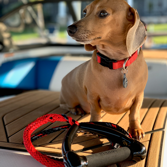 Personalized Masterline Dog Leash