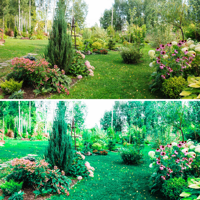 Plant Lady Green Gardening Mobile Lightroom Presets - 5 Presets