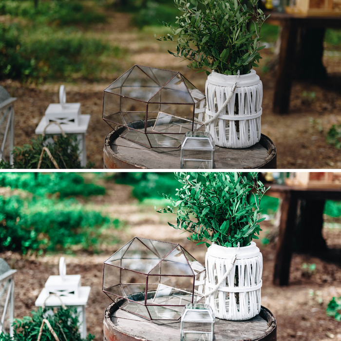 Plant Lady Green Gardening Mobile Lightroom Presets - 5 Presets