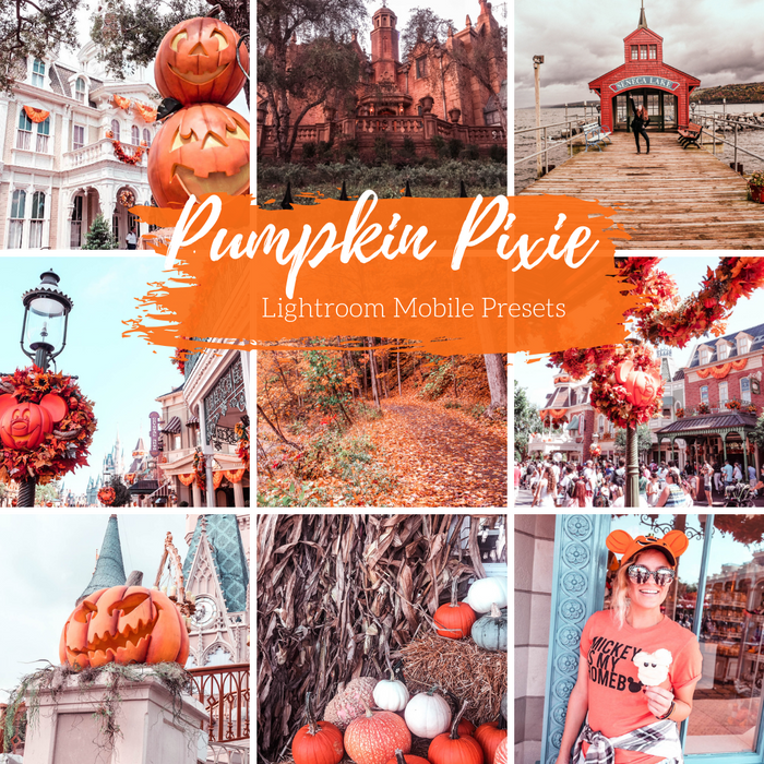 Pumpkin Presets Mobile Lightroom Preset Fall Photo Presets - 4 Presets