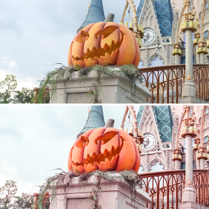 Pumpkin Presets Mobile Lightroom Preset Fall Photo Presets - 4 Presets