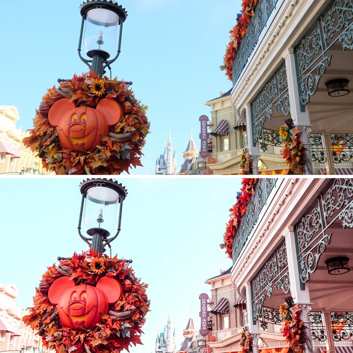 Pumpkin Presets Mobile Lightroom Preset Fall Photo Presets - 4 Presets