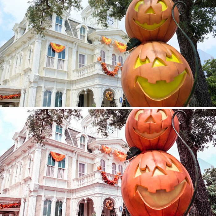 Pumpkin Presets Mobile Lightroom Preset Fall Photo Presets - 4 Presets