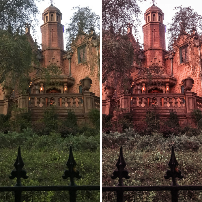 Pumpkin Presets Mobile Lightroom Preset Fall Photo Presets - 4 Presets
