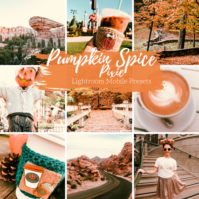 Pumpkin Spice Presets Mobile Lightroom Preset for Autumn - 4 Presets