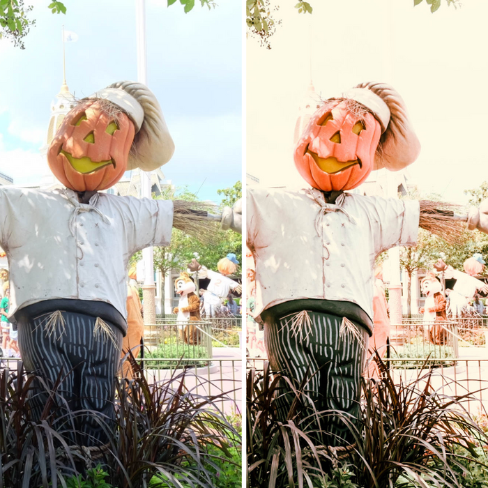 Pumpkin Spice Presets Mobile Lightroom Preset for Autumn - 4 Presets
