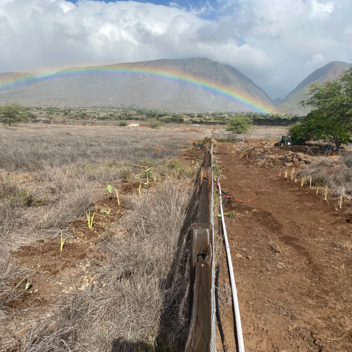 Redeem for Charity Impact: Restore 1 foot of Coastal Watershed