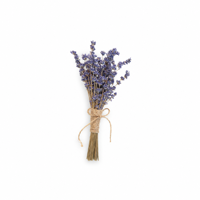 Scoop Propagation Station With Lavender