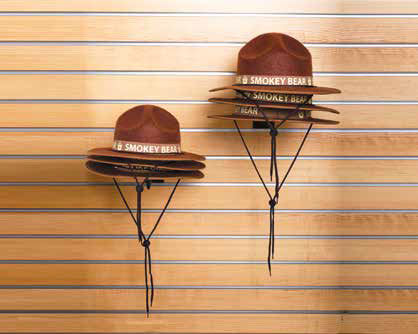 Smokey Ranger Hat