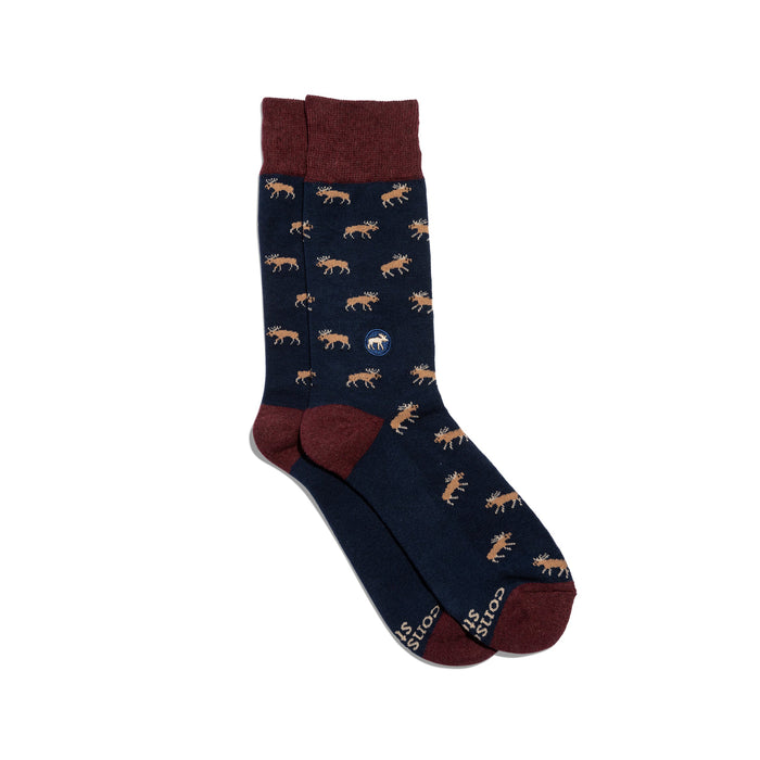 Socks that Protect Moose