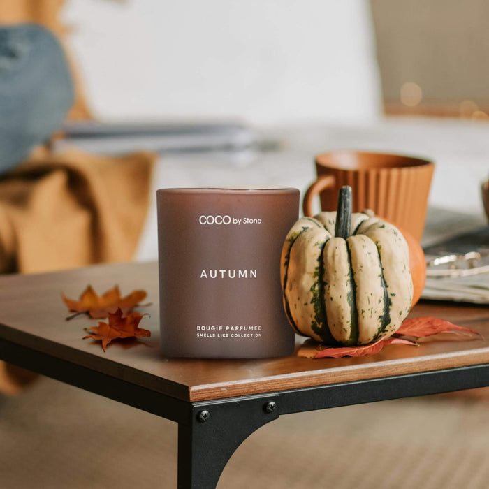 The Seasonal Candle in 15oz (Select from 3 Scents)